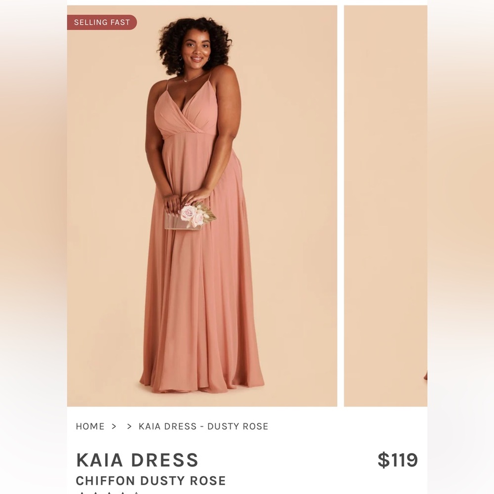 Birdy Grey Kaia Bridesmaids Dress Dusty Rose Size L NOT ALTERED